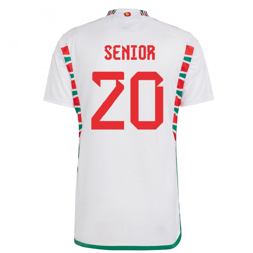 Kandiny Bambino Maglia Galles Matt Senior #20 Bianco Kit Gara Away 22-24 Maglietta