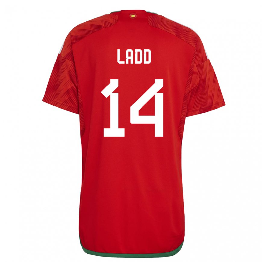 Kandiny Herren Walisische Hayley Ladd #14 Rot Heimtrikot Trikot 22-24 T-shirt Österreich