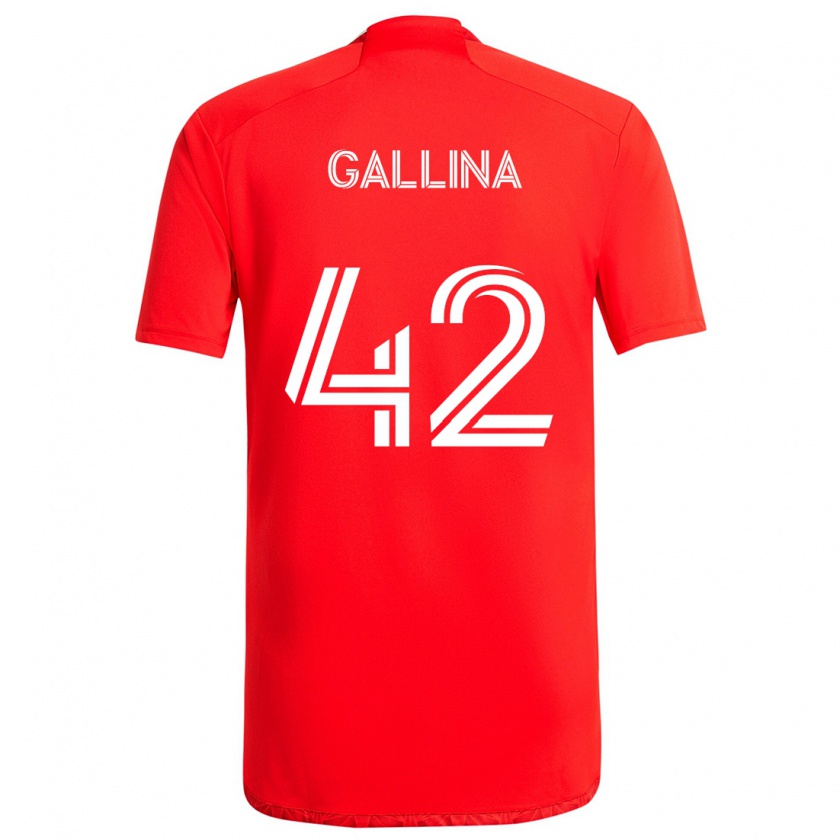 Kandiny Herren Henrique Gallina #42 Rot-Weiss Heimtrikot Trikot 2024/25 T-Shirt Österreich