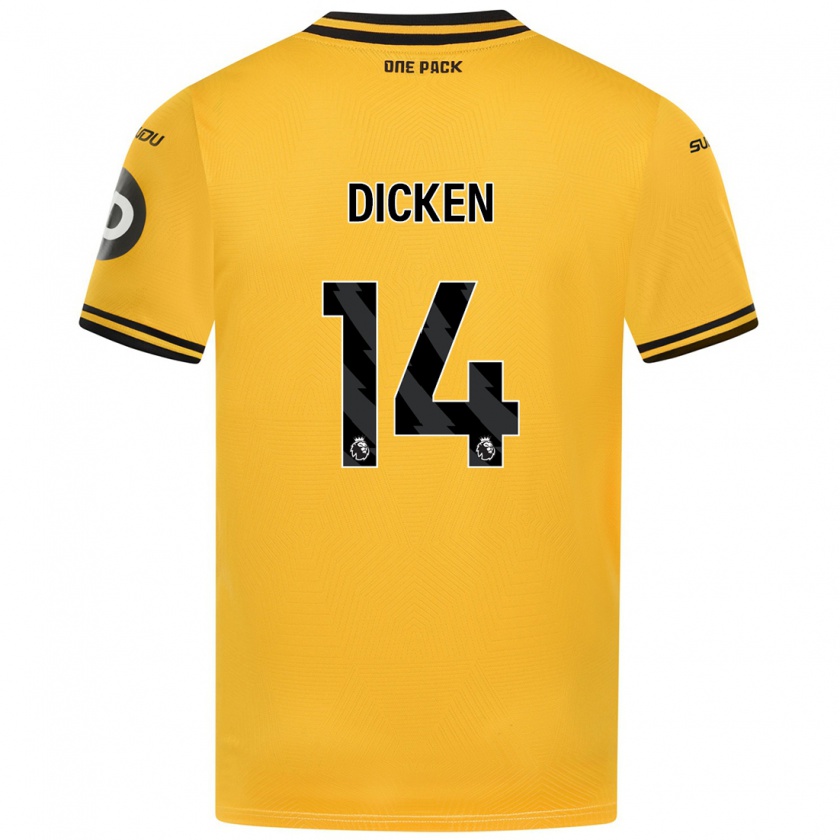 Kandiny Herren Amy Dicken #14 Gelb Heimtrikot Trikot 2024/25 T-Shirt Österreich