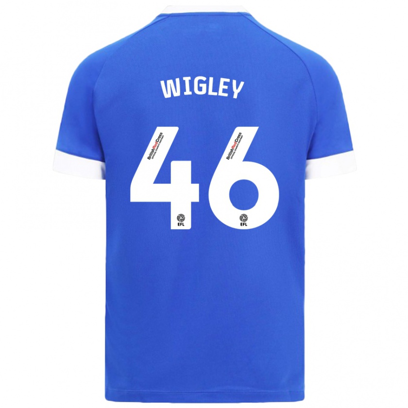 Kandiny Herren Morgan Wigley #46 Himmelblau Heimtrikot Trikot 2024/25 T-Shirt Österreich