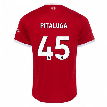 Kandiny Herren Marcelo Pitaluga #45 Rot Heimtrikot Trikot 2023/24 T-Shirt Österreich