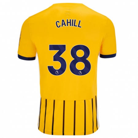 Kandiny Damen Killian Cahill #38 Gold Blau Nadelstreifen Auswärtstrikot Trikot 2024/25 T-Shirt Österreich